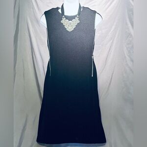 Elegant Black Sleeveless Express Dress